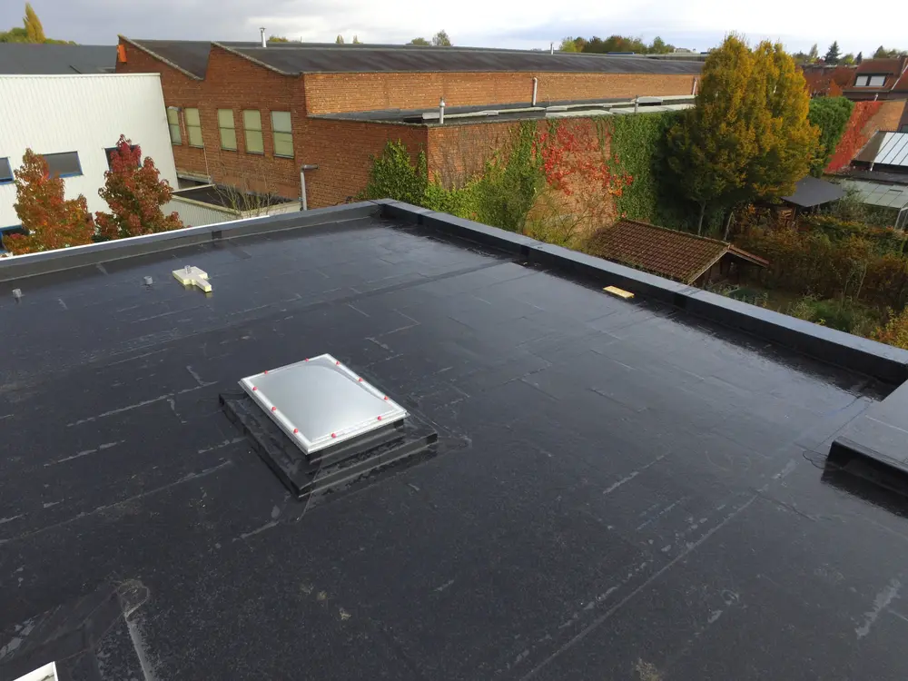 flat roof type